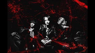 シンガーズハイ